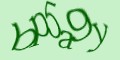 COM_smfaq1_FORM_CAPTCHA