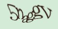 COM_smfaq1_FORM_CAPTCHA