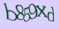 COM_smfaq1_FORM_CAPTCHA