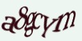COM_smfaq1_FORM_CAPTCHA