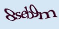 COM_smfaq1_FORM_CAPTCHA